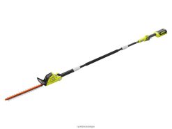 40v 18-polige heggenschaarset NBBJ6R337 RYOBI buitenshuis